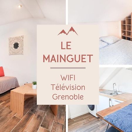 Le Mainguet - Appartement Cosy - Гренобль Экстерьер фото
