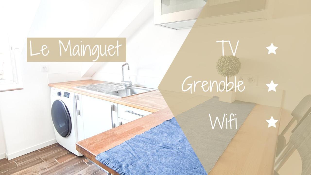 Le Mainguet - Appartement Cosy - Гренобль Экстерьер фото