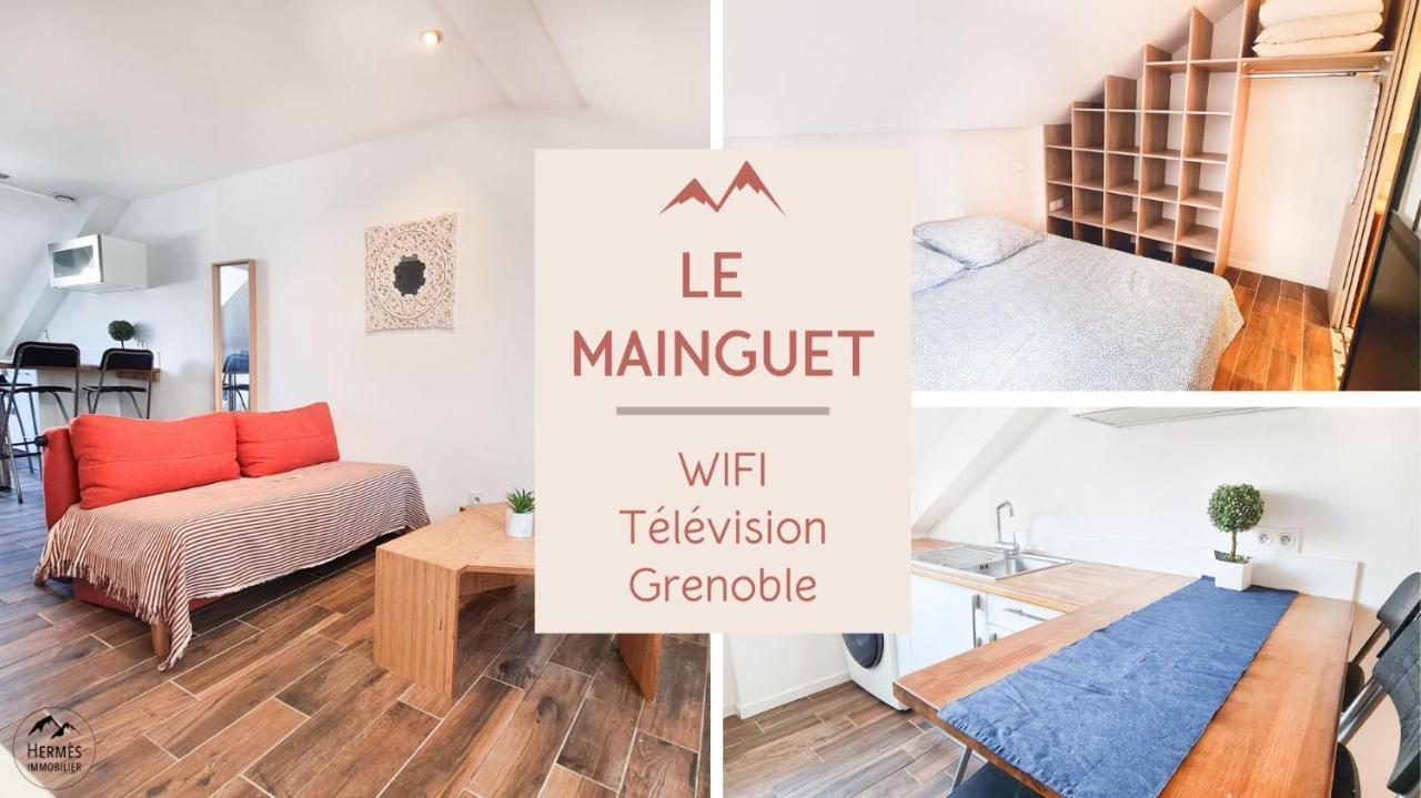 Le Mainguet - Appartement Cosy - Гренобль Экстерьер фото